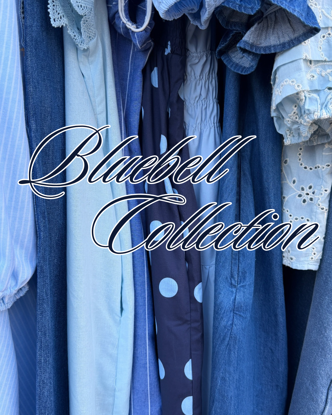 BLUEBELL COLLECTION